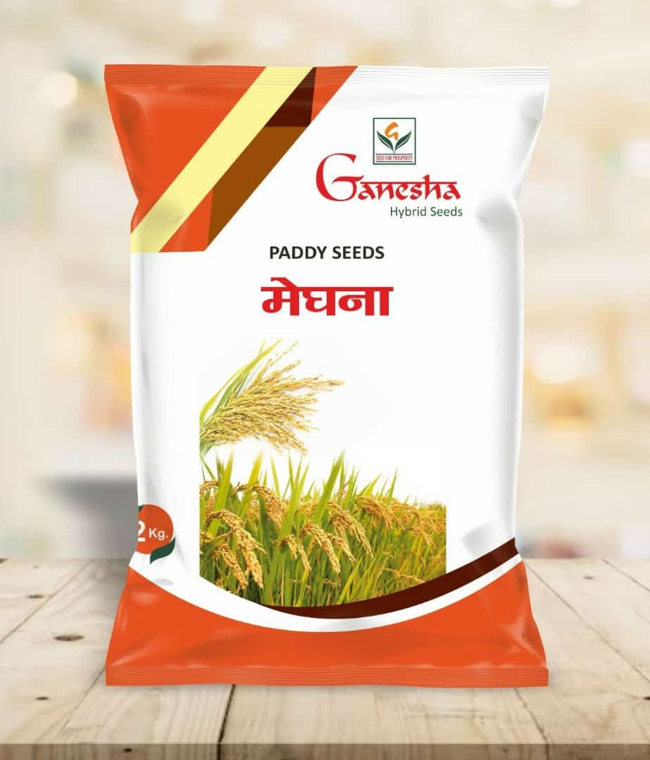 Meghna Paddy Seeds
